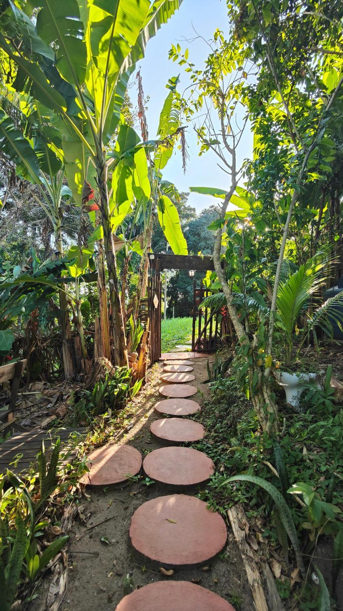 Eco Hostel Bosque Di Barro Velha Boipeba Exteriér fotografie